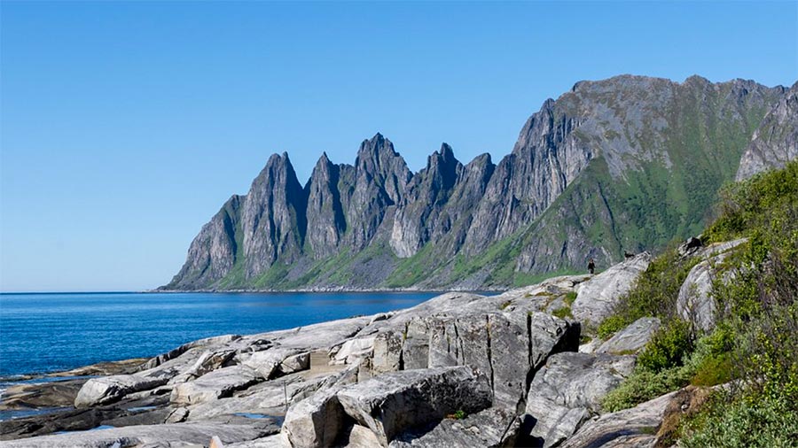 Tungeneset