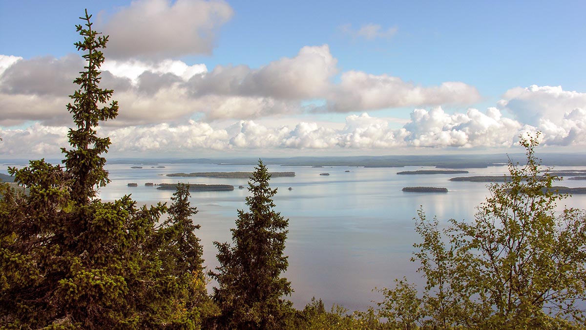 Koli Nationaal Park (Finland)