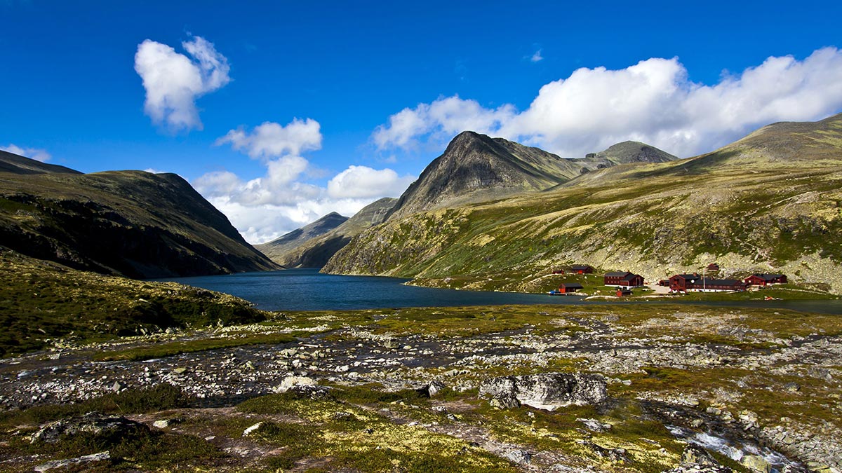 Rondane Nationaal Park (Noorwegen)