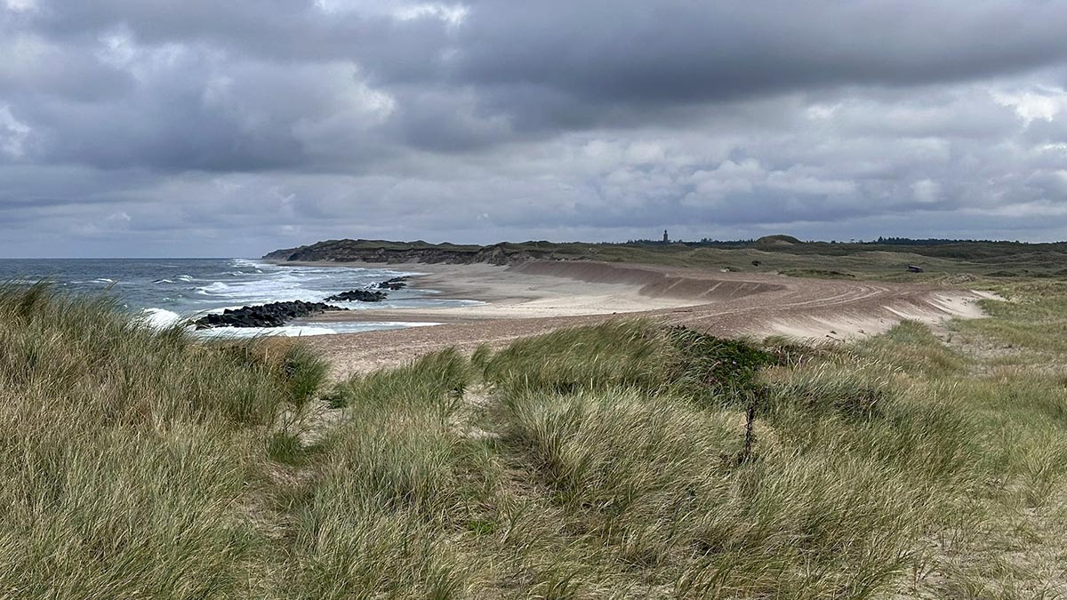 Thy Nationaal Park (Denemarken)
